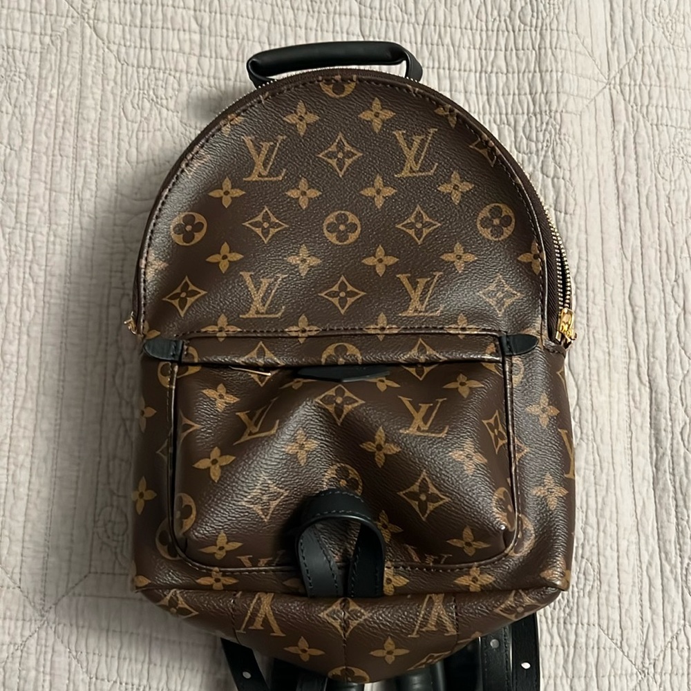 Louis Vuitton Palm Springs MM backpack
